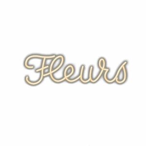 Fleurs" cursive neon sign text.