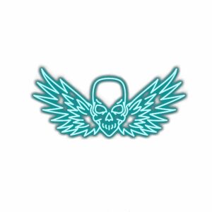 Skull with neon blue wings logo.