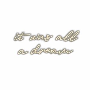 Cursive text "It was all a dream" shadowed on white background.