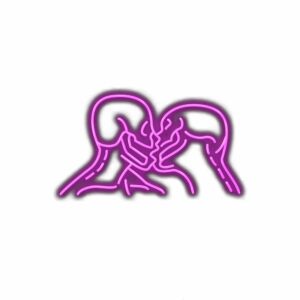 Neon pink twin flamingo silhouette graphic