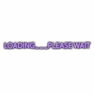 Purple "LOADING... PLEASE WAIT" message on screen.