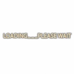 Loading screen message with 'Please Wait' notification