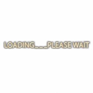 Text "LOADING... PLEASE WAIT" on a white background.