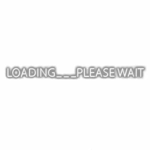 Text "LOADING... PLEASE WAIT" with shadow effect.