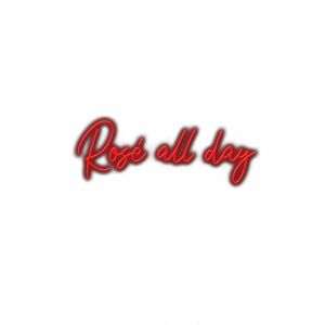 Neon sign text "Rosé all day" with shadow effect.