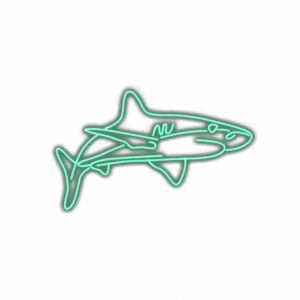 Neon sign shaped like an airplane.