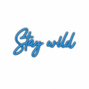 Inspirational blue "Stay wild" handwritten style text image.