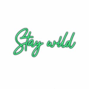 Neon "Stay Wild" inspirational quote illustration.