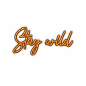 Inspirational quote "Stay wild" with orange cursive font.