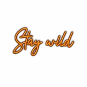 Inspirational "Stay Wild" text in orange artistic font