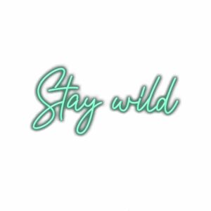 Inspirational quote "Stay wild" in cursive teal lettering.