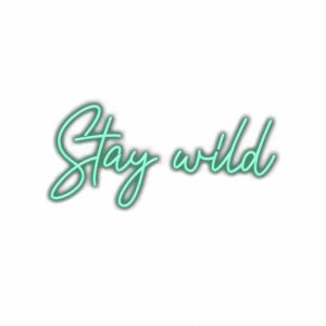 Inspirational "Stay Wild" cursive text graphic.