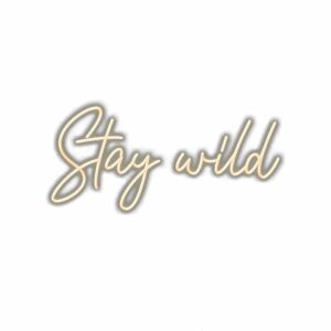Inspirational "Stay wild" cursive wall art.