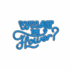 Stylized text "What The Flower?" with neon effect.