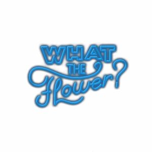 Blue neon text "What The Flower?" with question mark.