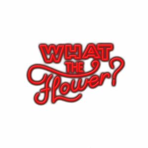 Stylized red text "What the Flower?" with shadow effect.