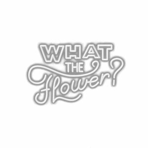 Stylized text "What the Flower?" in white shading.