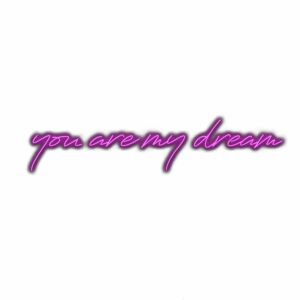 Cursive neon text "you are my dream" with shadow.