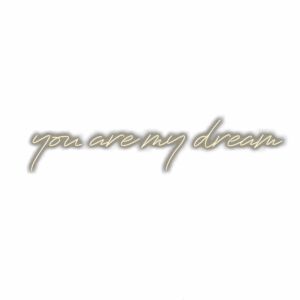 Inspirational quote "you are my dream" in cursive text.