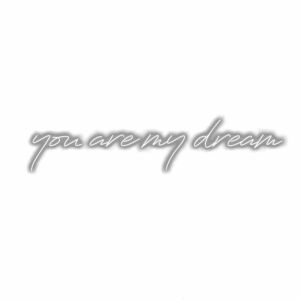 Cursive text "you are my dream" on white background.