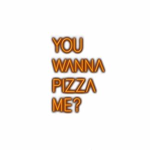 Humorous "You wanna pizza me?" text.