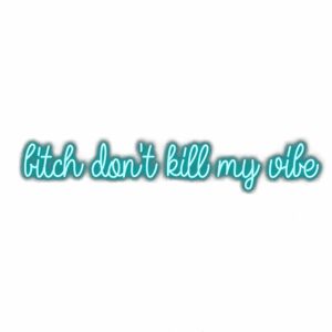 Inspirational quote in teal cursive font: "B***h don't kill my vibe.