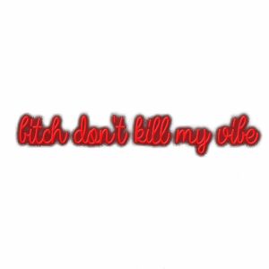 Neon sign text "Bitch don't kill my vibe