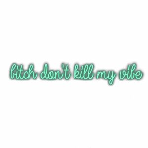 Text quote "B**** don't kill my vibe" in teal cursive.