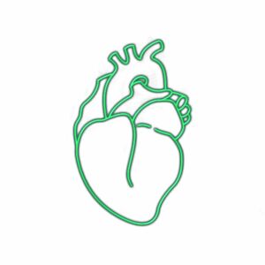 Neon green heart outline illustration