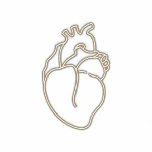 Neon outline of a human heart on white background.