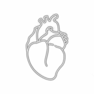 Human heart outline illustration.